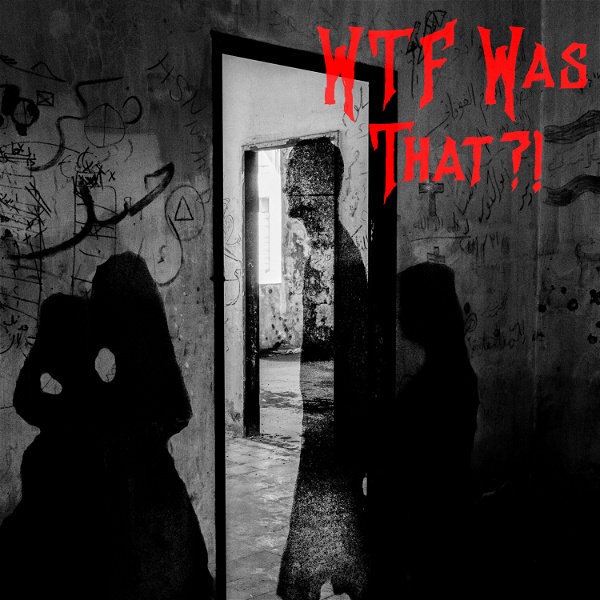 Artwork for WTF Was That Podcast!?
