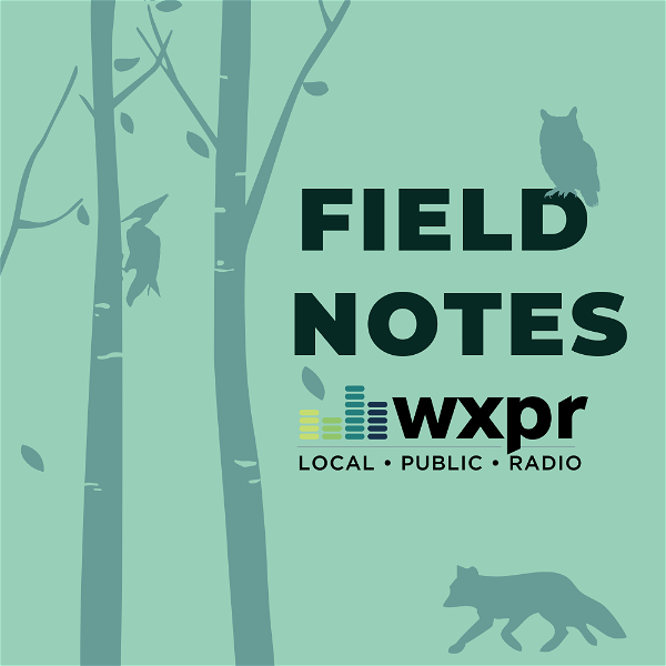 Artwork for WXPR Field Notes