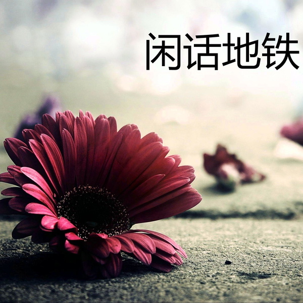 Artwork for 闲话上海滩