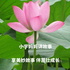 小宇妈妈讲故事