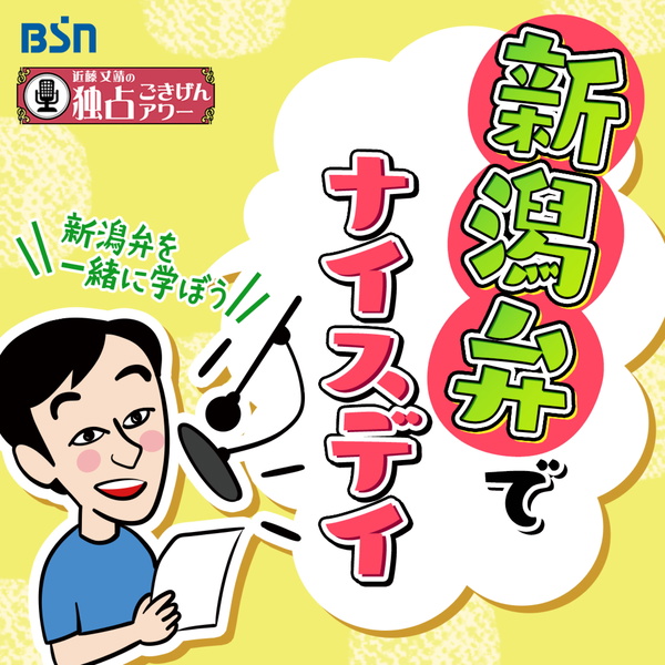Artwork for 新潟弁でナイスデイ
