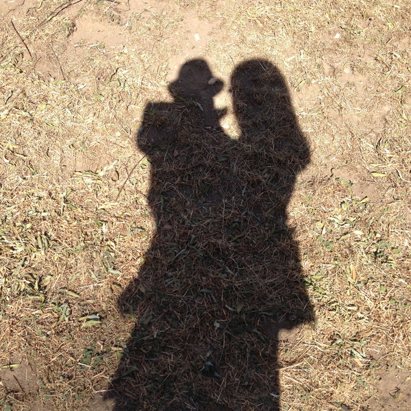 Artwork for 雪狼王 儿童文学作品 勇气与懂得