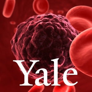 Artwork for Yale Cancer Center Research