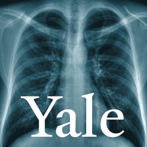 Artwork for Yale Health & Medicine
