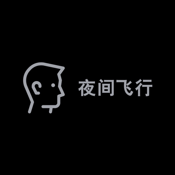 Artwork for 夜間飛行