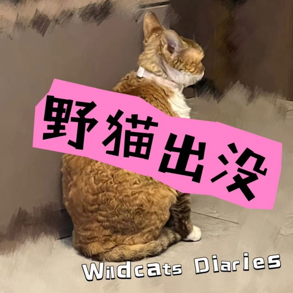 Artwork for 野猫出没