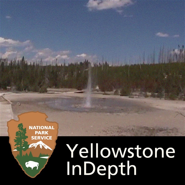 Artwork for Yellowstone In Depth