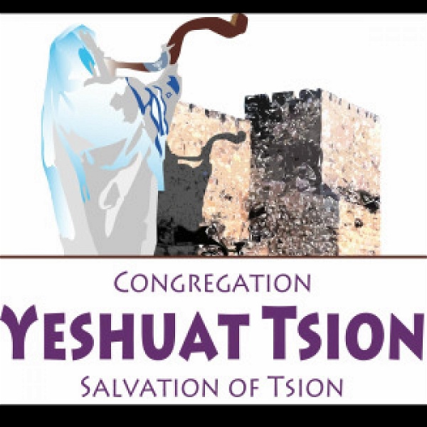 Artwork for Yeshuat Tsion