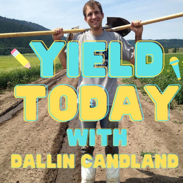 Artwork for YIELD Today With Dallin Candland