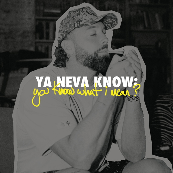 Artwork for YNK: you know what I mean?