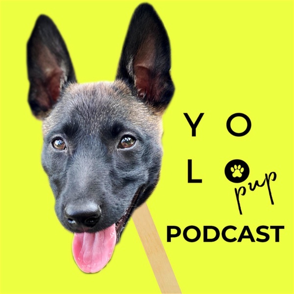 Artwork for YOLO PUP PODCAST