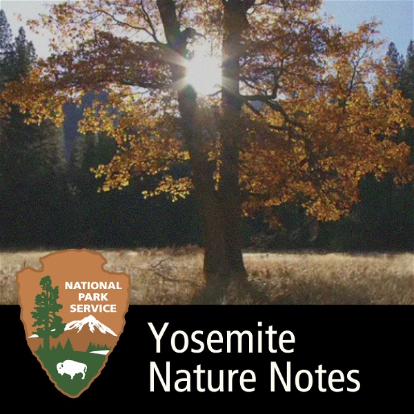 Artwork for Yosemite Nature Notes