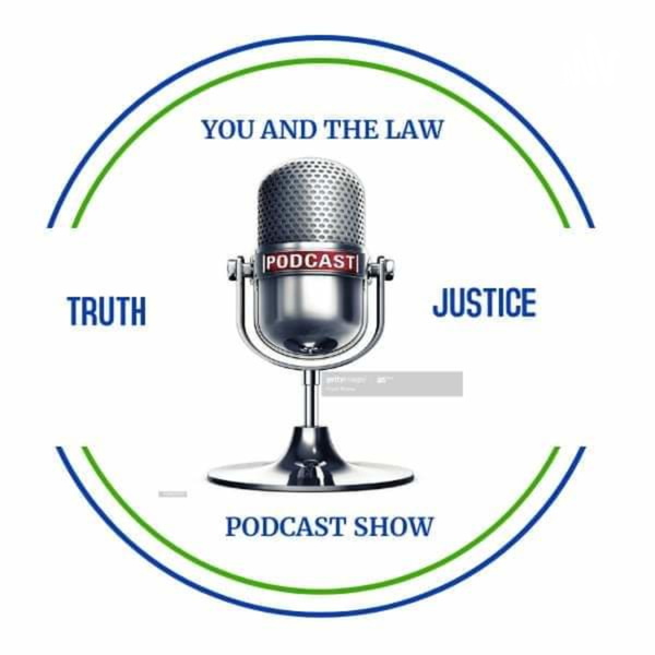 Artwork for You And The Law Podcast