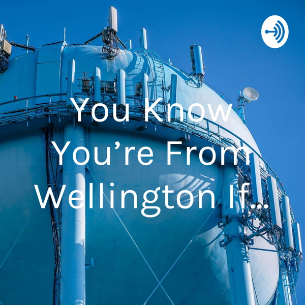 Artwork for You Know You’re From Wellington If...