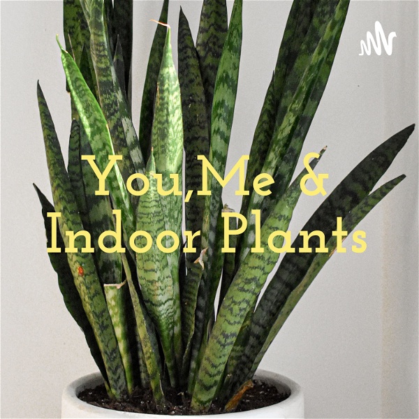 Artwork for You,Me & Indoor Plants