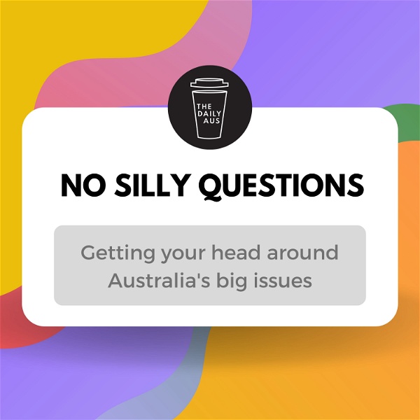 Artwork for No Silly Questions