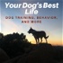 Your Dog's Best Life