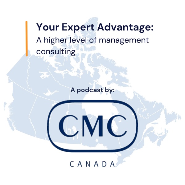 Artwork for Your Expert Advantage: A Higher Level of Management Consulting