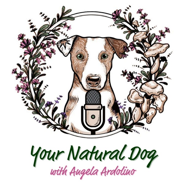 Artwork for Your Natural Dog with Angela Ardolino