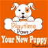 Your New Puppy: Dog Training and Dog Behavior Lessons to Help You Turn Your New Puppy into a Well-Behaved Dog