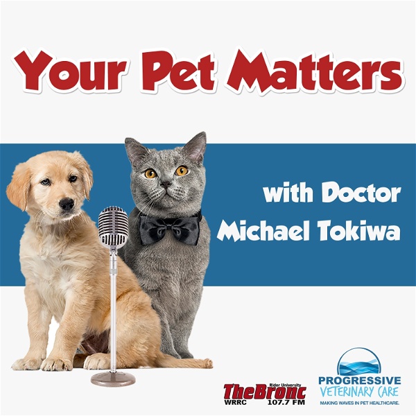 Artwork for Your Pet Matters(Official 107.7 The Bronc Podcast)