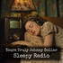 Yours Truly Johnny Dollar - Sleepy Radio