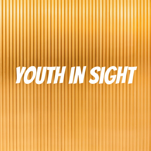 Artwork for Youth in Sight