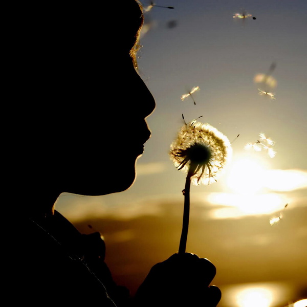 Artwork for 欲与深蓝