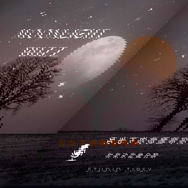 Artwork for 月光下的微醺時刻