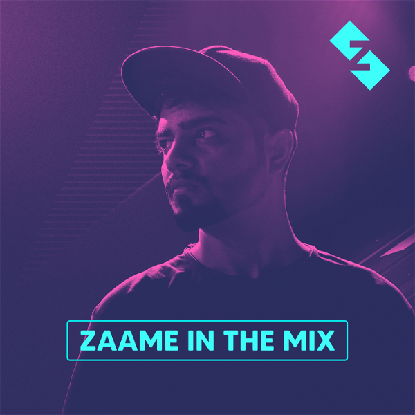Artwork for Zaame In the MIX