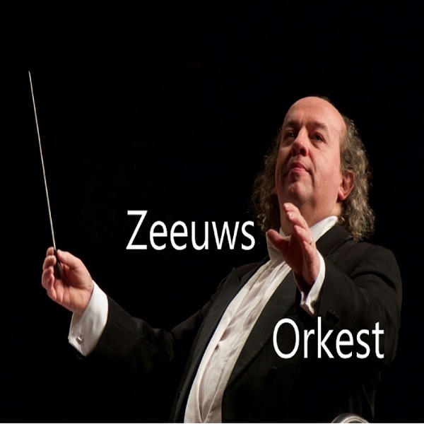 Artwork for Zeeuws Orkest