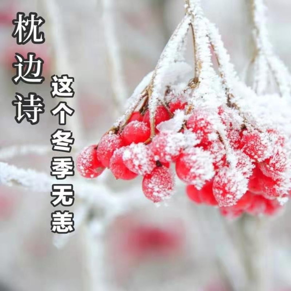 Artwork for 枕边诗-这个冬季无恙