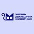 Жизнь домашних животных