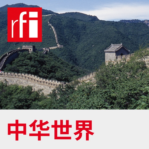 Artwork for 中华世界