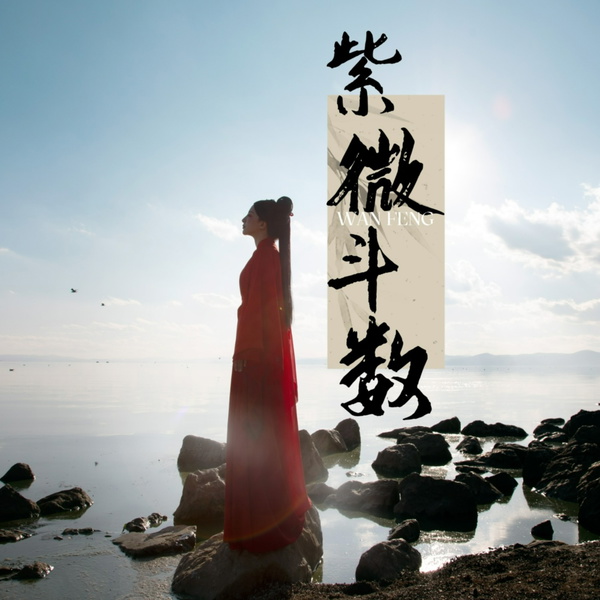 Artwork for 紫微斗数干货分享