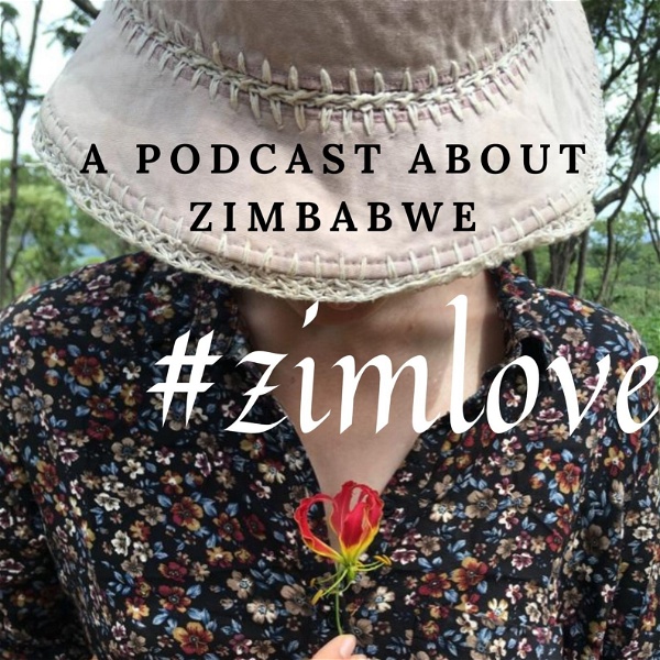 Artwork for #zimlove