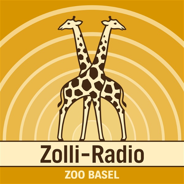 Artwork for Zolli-Radio
