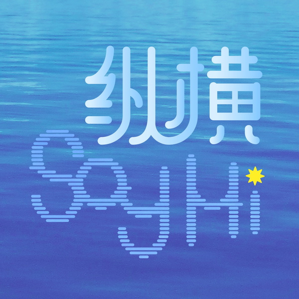 Artwork for 纵横 Say Hi