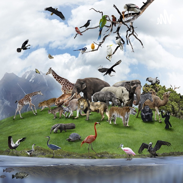 Artwork for Podcasts by Dr.Sachi devi