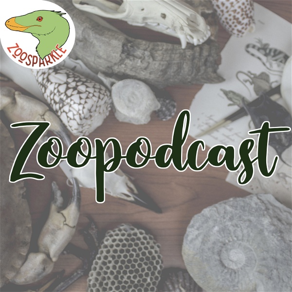 Artwork for Zoopodcast