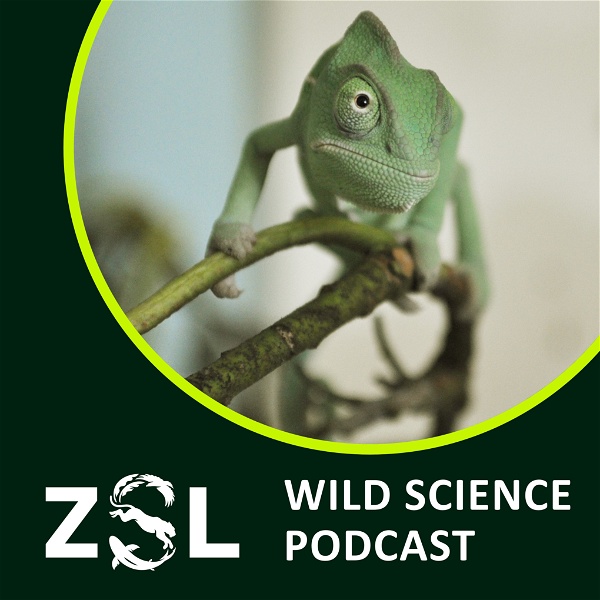 Artwork for ZSL Wild Science Podcast