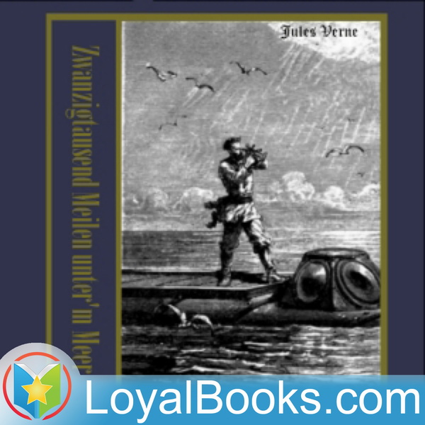 Artwork for Zwanzigtausend Meilen unter'm Meer by Jules Verne